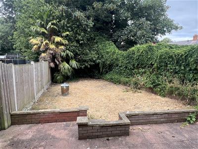 Picture 11